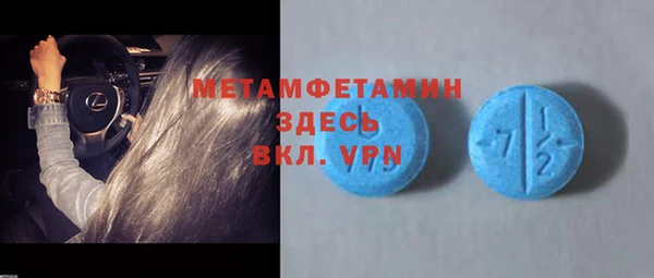 индика Ладушкин