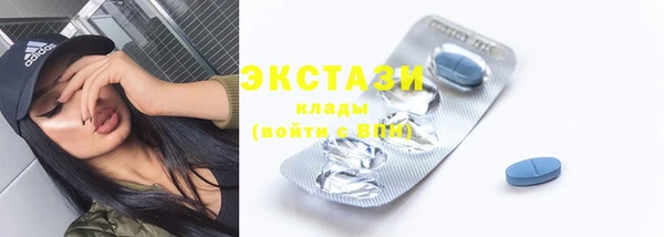гидра Костерёво