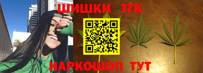 крисы Кинель
