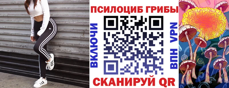 OMG ONION  Красный Сулин  Галлюциногенные грибы мицелий 