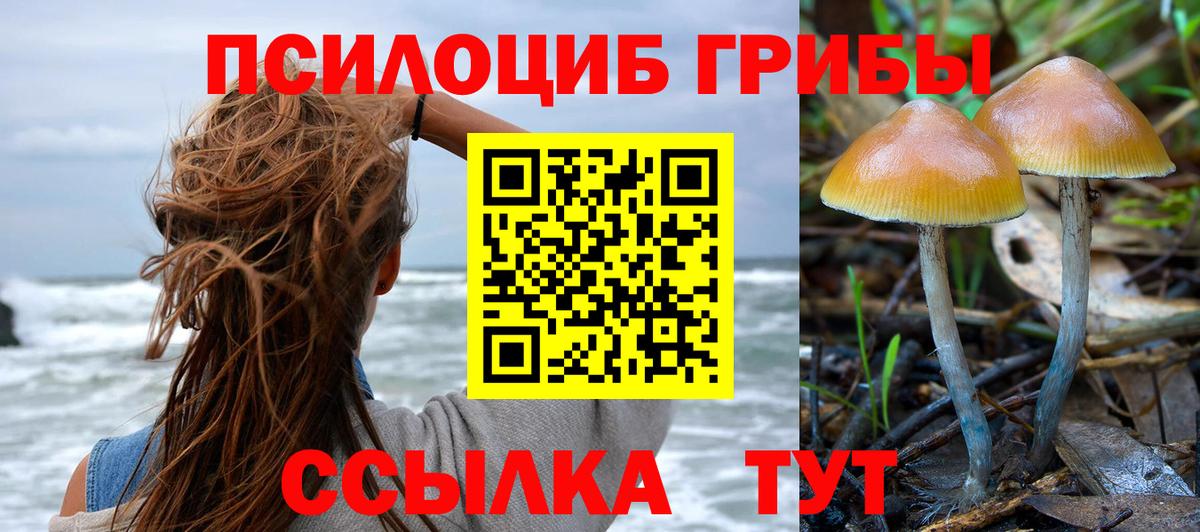Галлюциногенные грибы Psilocybine cubensis Красный Сулин