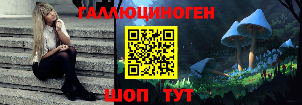 Красный Сулин  Псилоцибиновые грибы мухоморы  Вход с VPN 