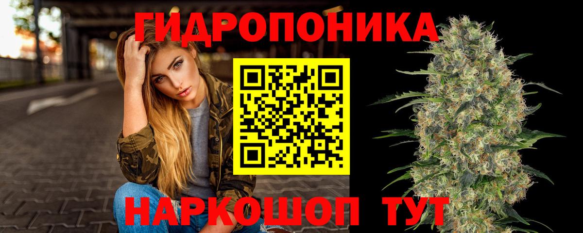 Марихуана OG Kush Красный Сулин